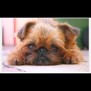 Meet your Posher, Erika